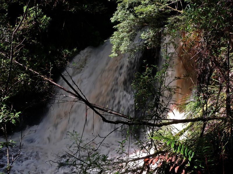 hogarth falls.jpg