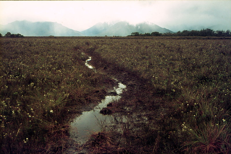 Lake Pedder 1971_0003.jpg