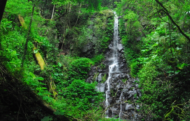 Lamington - Darraboola Falls (3) (640x410).jpg