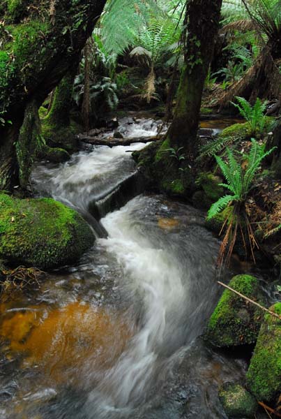 Cuckoo Falls (8) sp.jpg