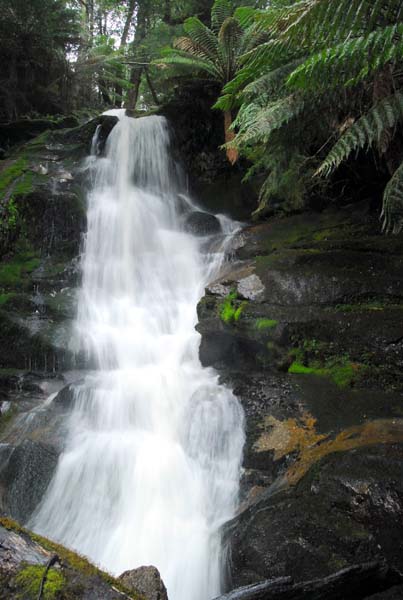 Cuckoo Falls (28).jpg