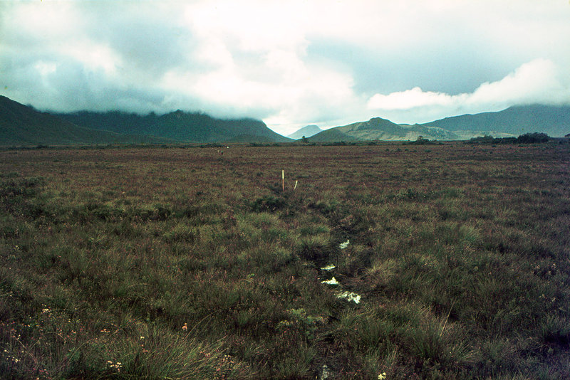 LakePedder 1971_0002.jpg