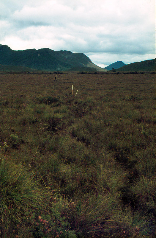 LakePedder 1971_0015.jpg