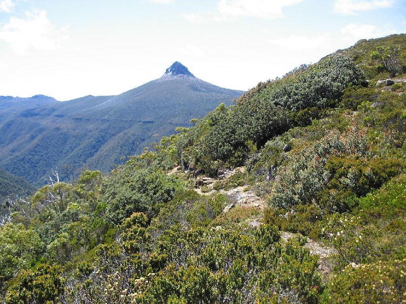 Mt Inglis Dec 04 058 2.JPG