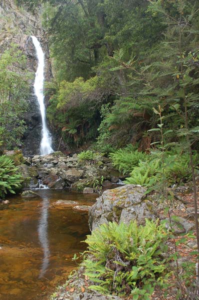 Tassie 3rd day Mathinna Falls second (16)sp.jpg