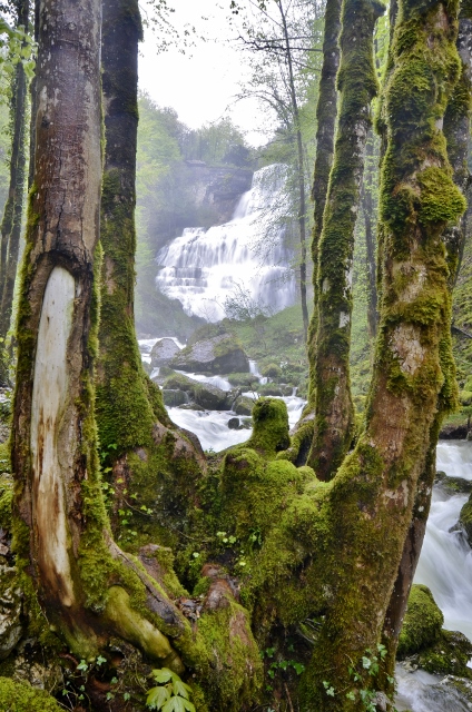 France 2013 - days 22,23,24 Cascades du Herisson - L'Eventail (19).jpg