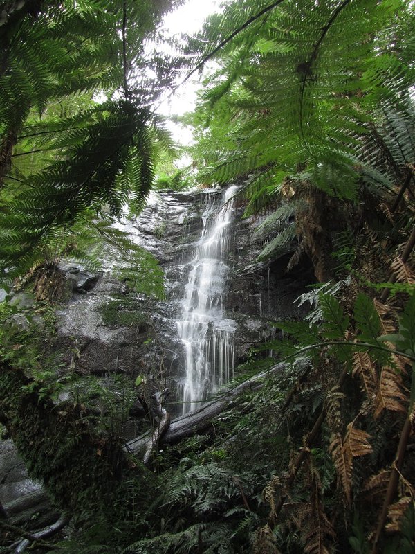 Bruthen Creek Falls.jpg