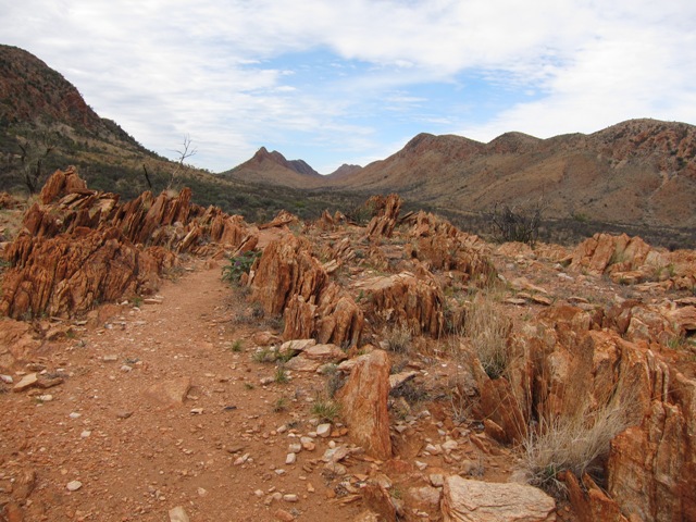 Small saddle looking towards Inarlanga Pass.JPG