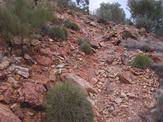 Yep, Lots of trail,like this.JPG