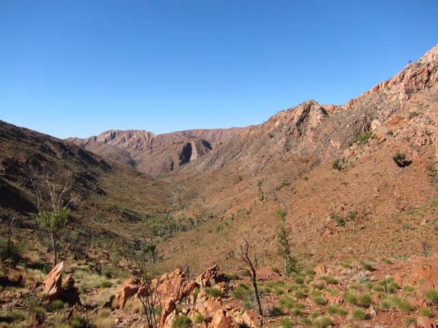 Looking towards Razor Back Ridge and Fringe Lilly Campsite at the valley juntions.JPG