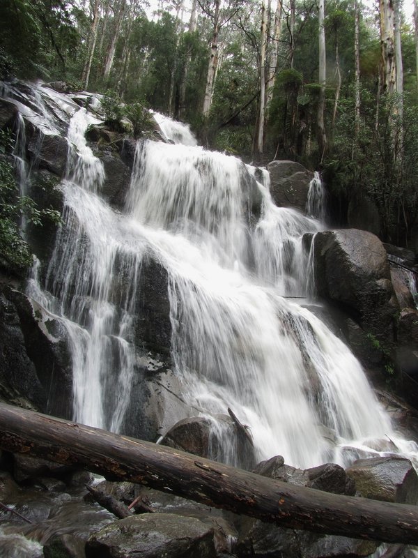 Tooronga Falls.jpg