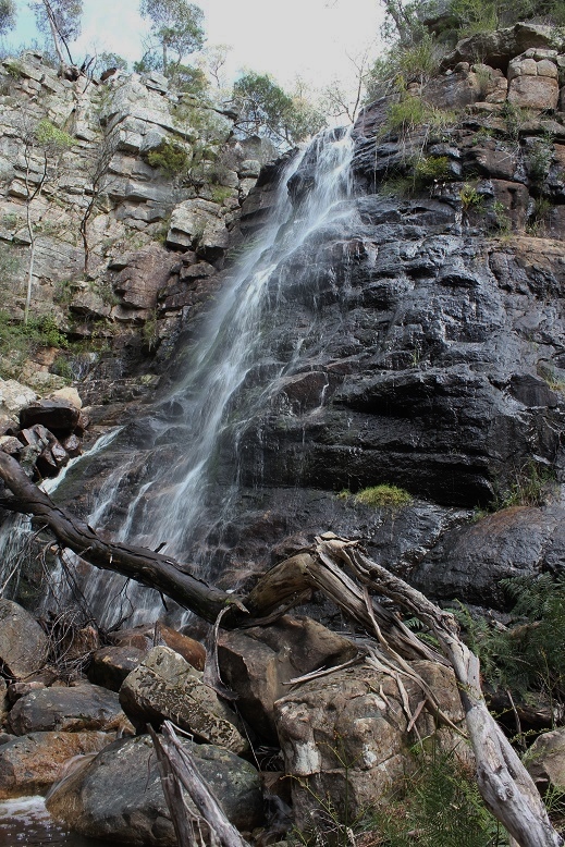 Epacris Falls.jpg