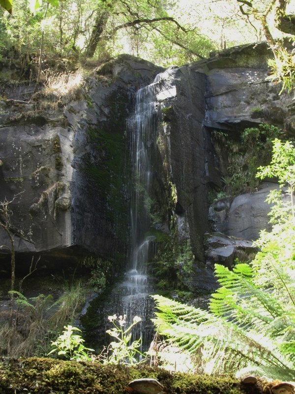 Upper Kalimna Falls.jpg