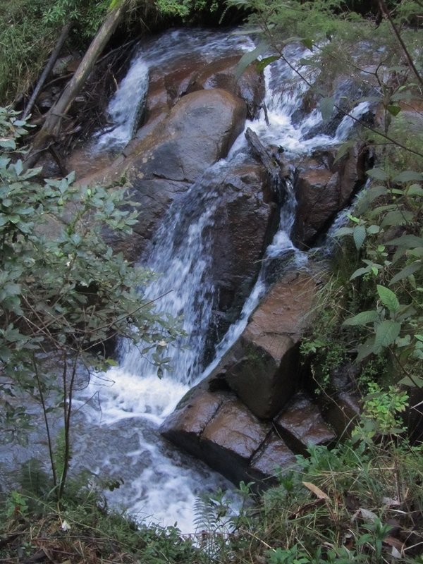 Olinda Falls Upper.jpg