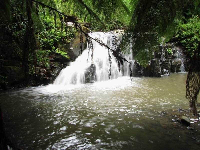 Billy Creek Falls Drop 1.jpg