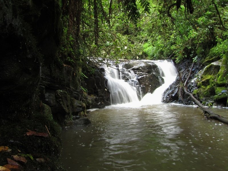 Billy Creek Falls Drop 2.jpg