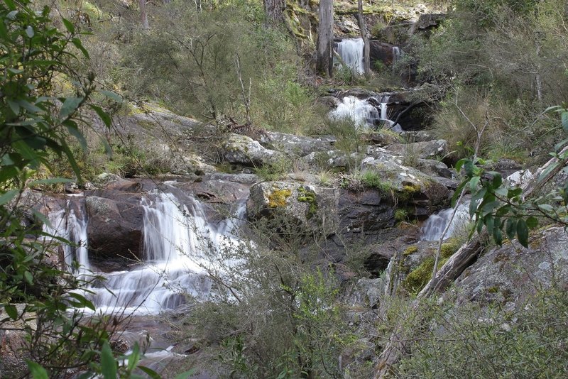 Wild Dog Creek Falls 1st Drop.jpg