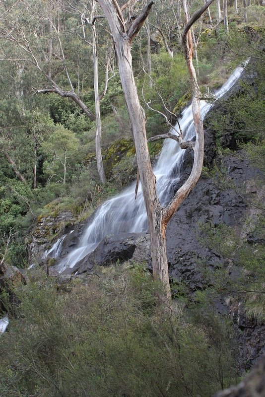 Wild Dog Creek Falls 2nd Drop.jpg