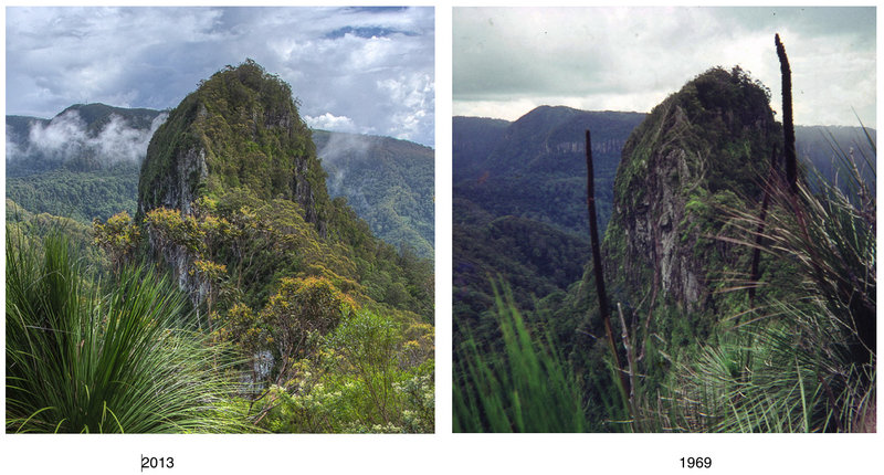 Mt Cougal comparisons.jpg