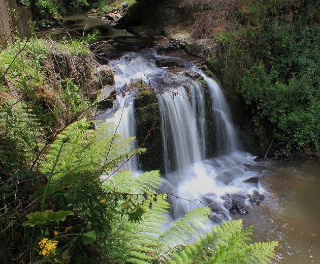 Ngalquan Falls.jpg