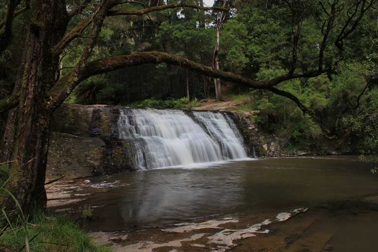 Morwell River Falls Upper.jpg