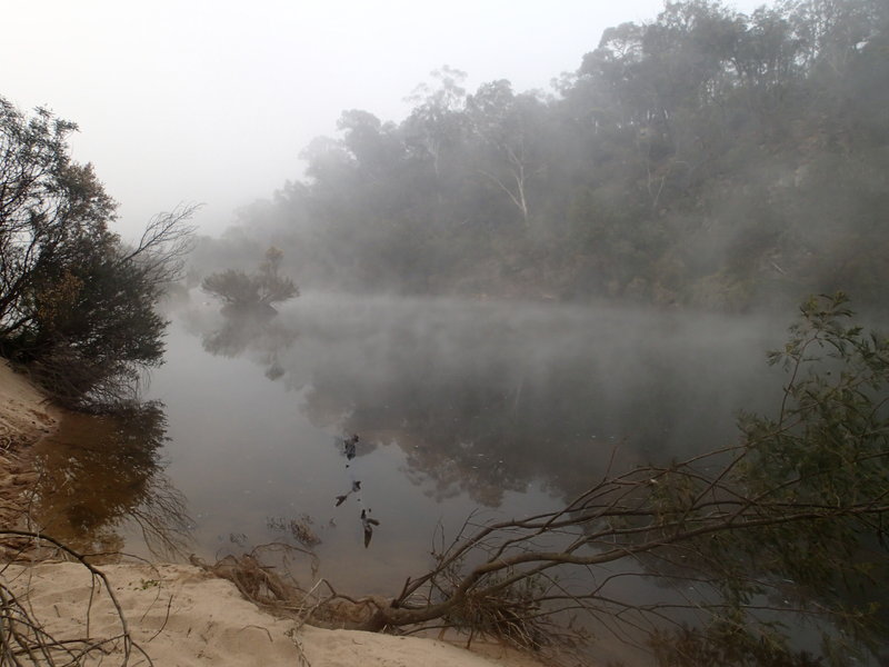Morning mist at camp site.JPG
