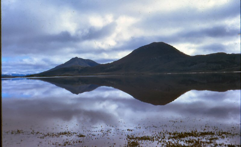 Lake Pedder 2.jpg