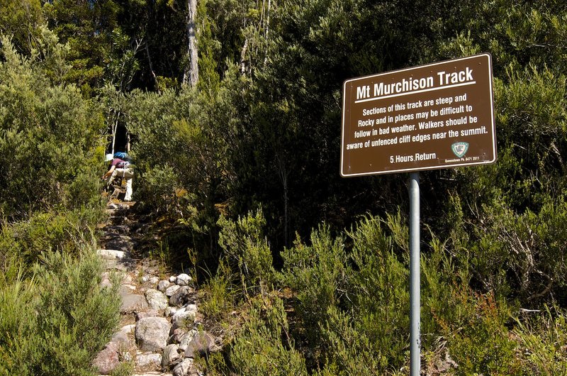 Mt Murchison Track - start.jpg