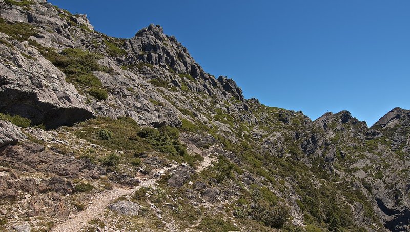 Mount Murchison - towards the summit.jpg