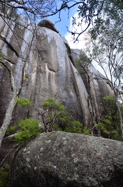 Cathedral Rocks (109) (424x640).jpg