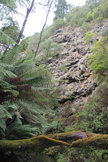 Cliffs on Albert River trib.jpg