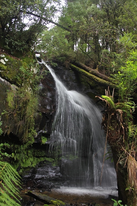 Upper Chapple Falls 1st Drop.jpg