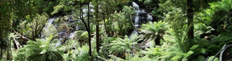 Triplet Falls (Otways).jpg