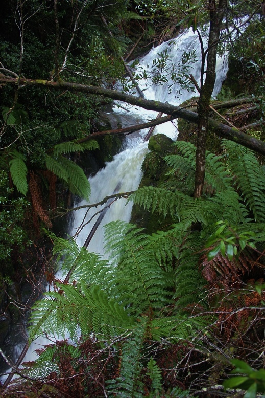 Evelyn Falls 1st Drop.jpg