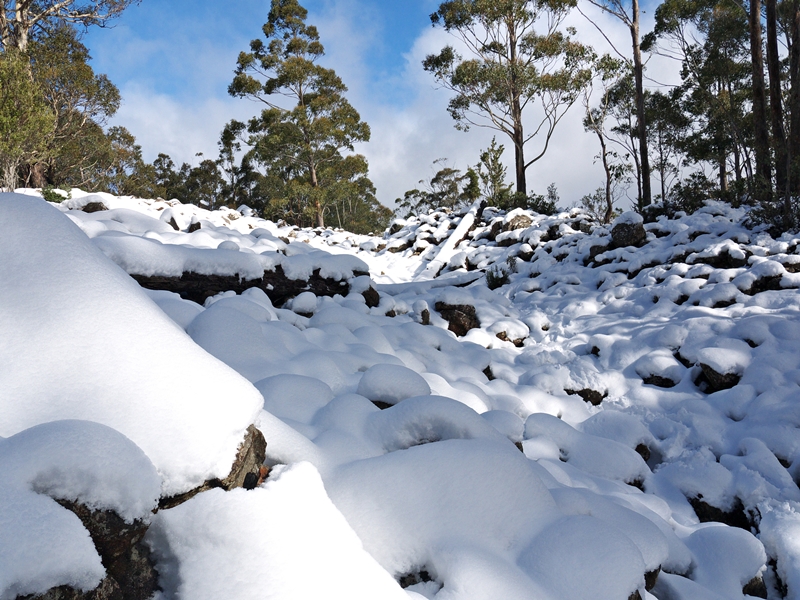 a snowy boulders s.jpg