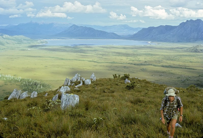 Ascending Madonna Ridge in the Frankland Range. Lake Pedder, SW National Park, Tasmania, December, 1971.jpg