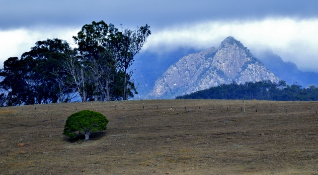 Mount Barney (16).jpg