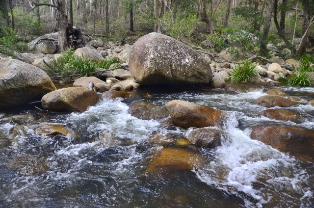 Mount Barney Creek (12).jpg