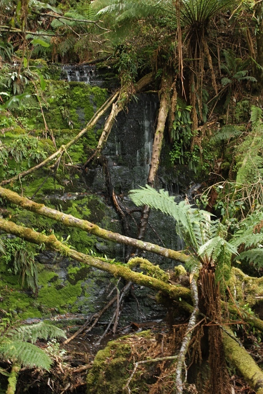 Green Chasm Falls Upper (Mousetrap Complex).jpg