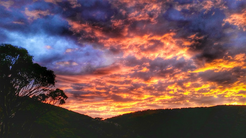 Feathertop Sunrise.jpg