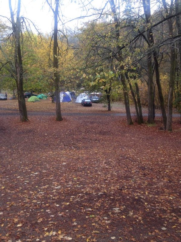 The campsite.jpg