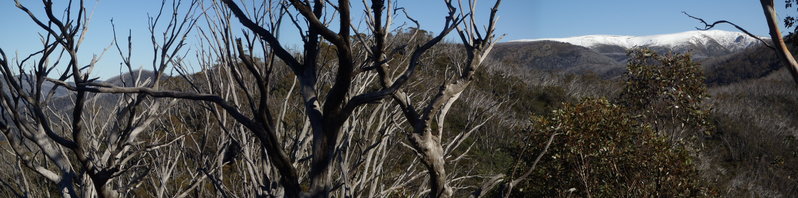 20150516_19_Mt Bogong from junction of Long Spur and Mulhauser Spur.JPG