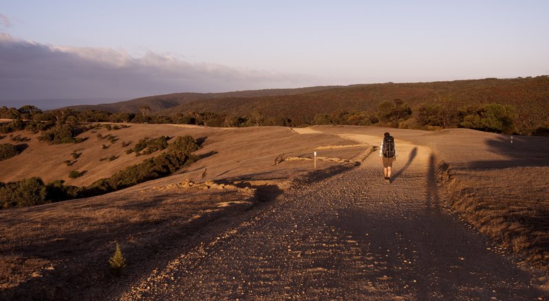 5 - Track to Tapanappa Lookout.jpg