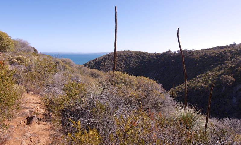 18 - views to Kangaroo Island from Aaron Creek Hike.jpg