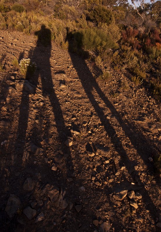 22 - Morning on the Heysen Trail.jpg