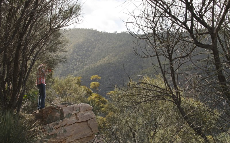 Black Range Lookout.jpg