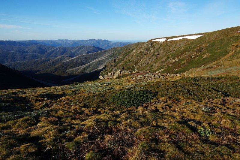 7846MorningonBogong.jpg