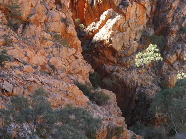 IMG_2601 Standley Chasm.JPG