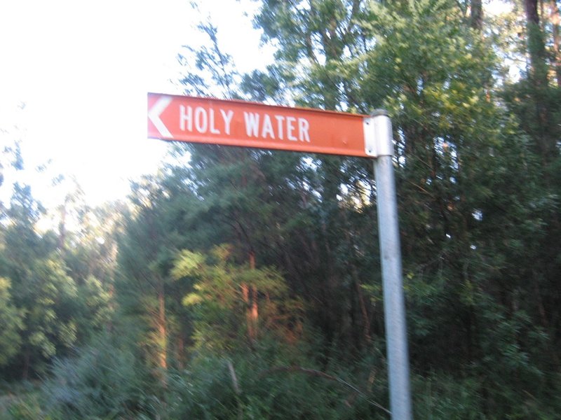 Holy Water Track, Otway NP_1024.jpg