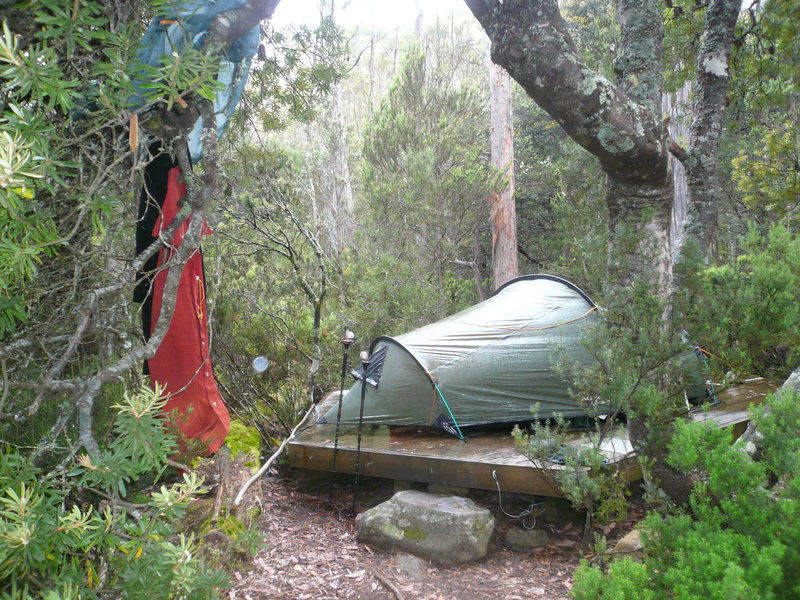 Campsite at Windy Ridge.JPG